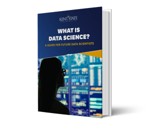 Data Science Mini eBook Cover-1
